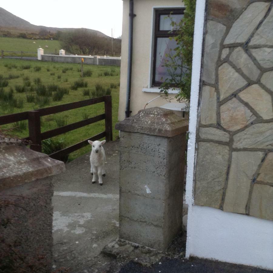 Sea View Chalet Kilsallagh Westport Co Mayo Esterno foto